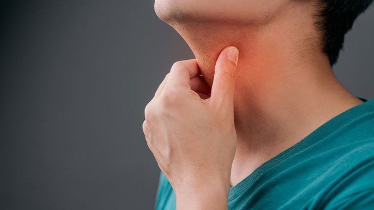 Minh hoạ về cấu trúc cổ người