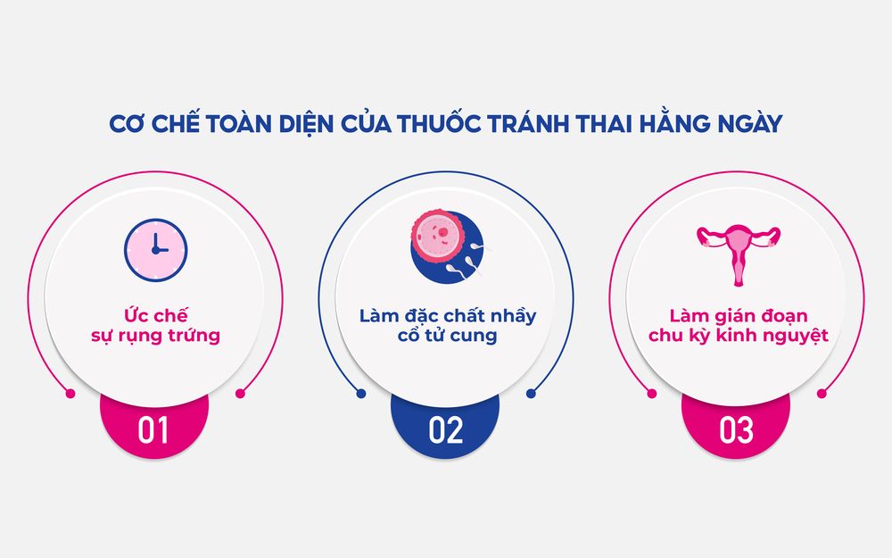 Việc uống thuốc vào một khung giờ cố định mỗi ngày giúp duy trì nồng độ hormone ổn định
