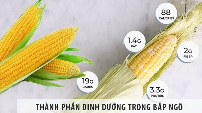 Công dụng của hạt ngô trong việc hỗ trợ hệ tiêu hóa và bảo vệ tim mạch