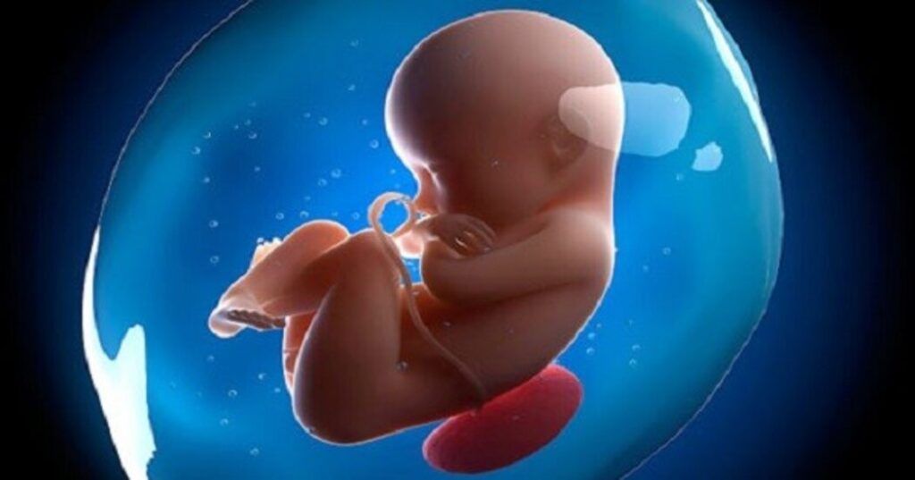 Thời gian kiêng cữ hợp lý giúp tử cung và sức khỏe tổng thể của người phụ nữ sớm phục hồi 