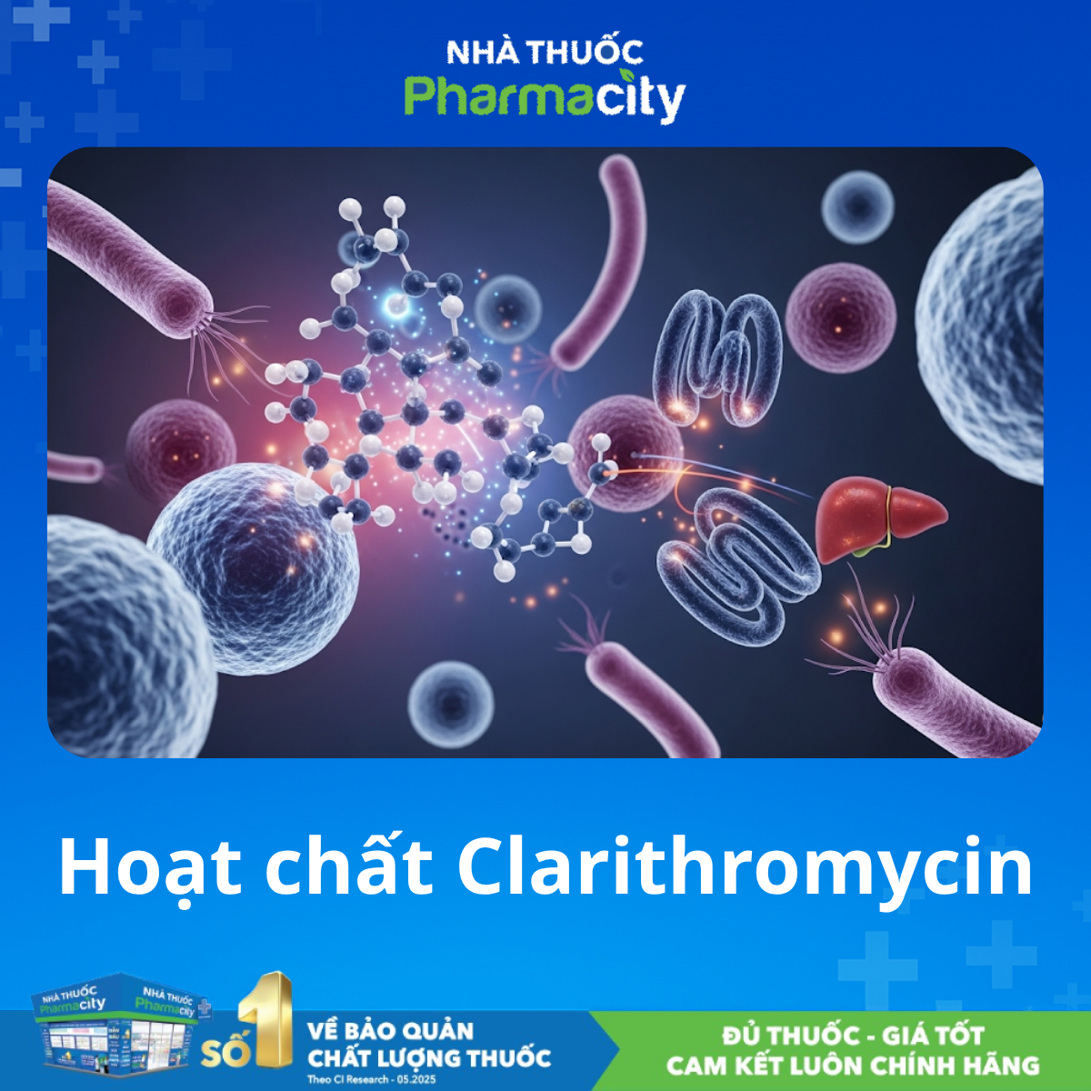 Hoạt chất clarithromycin hỗ trợ kháng khuẩn hô hấp 
