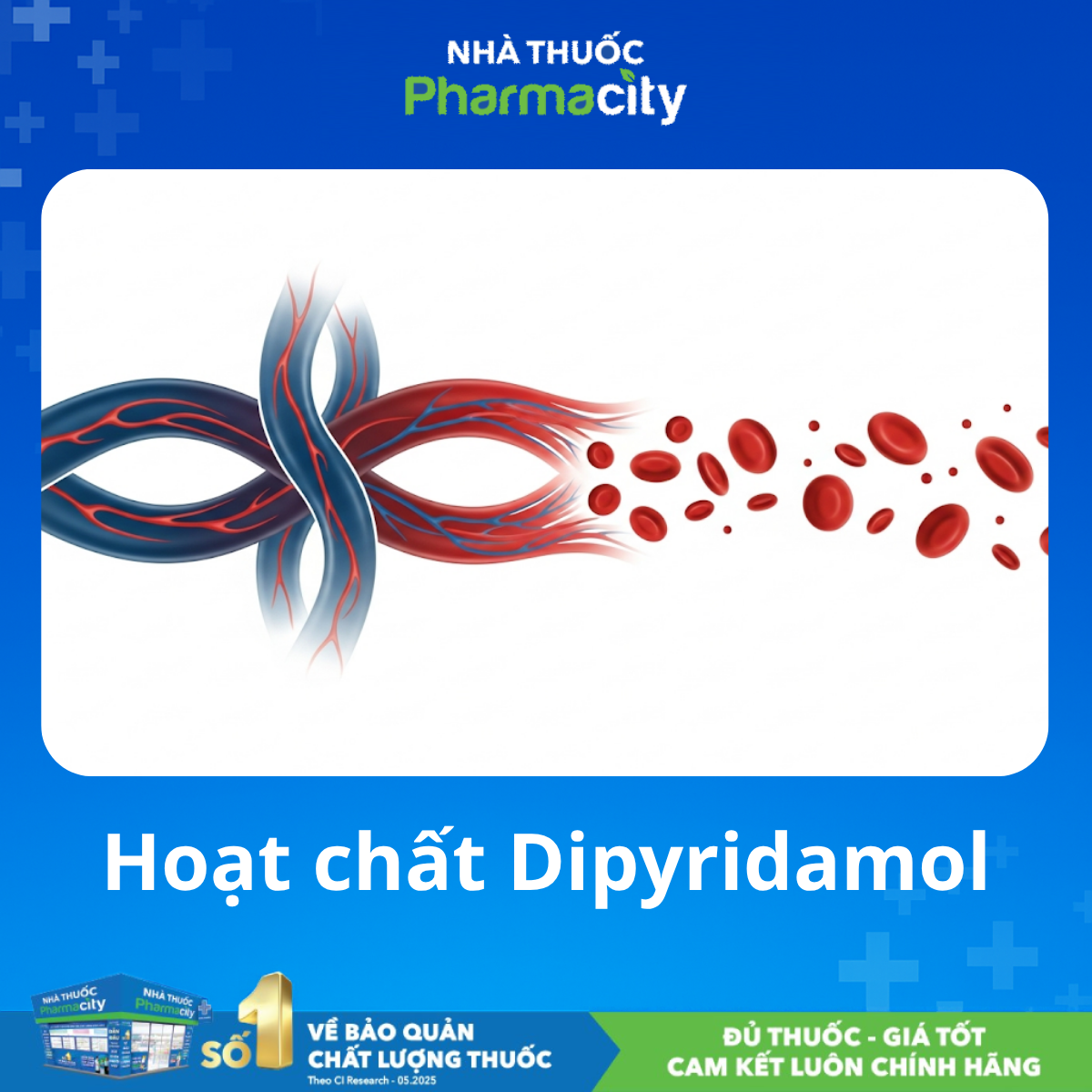 Asasantin Med Hoạt chất Dipyridamol: Ngăn ngừa cục máu đông, cải thiện lưu thông máu