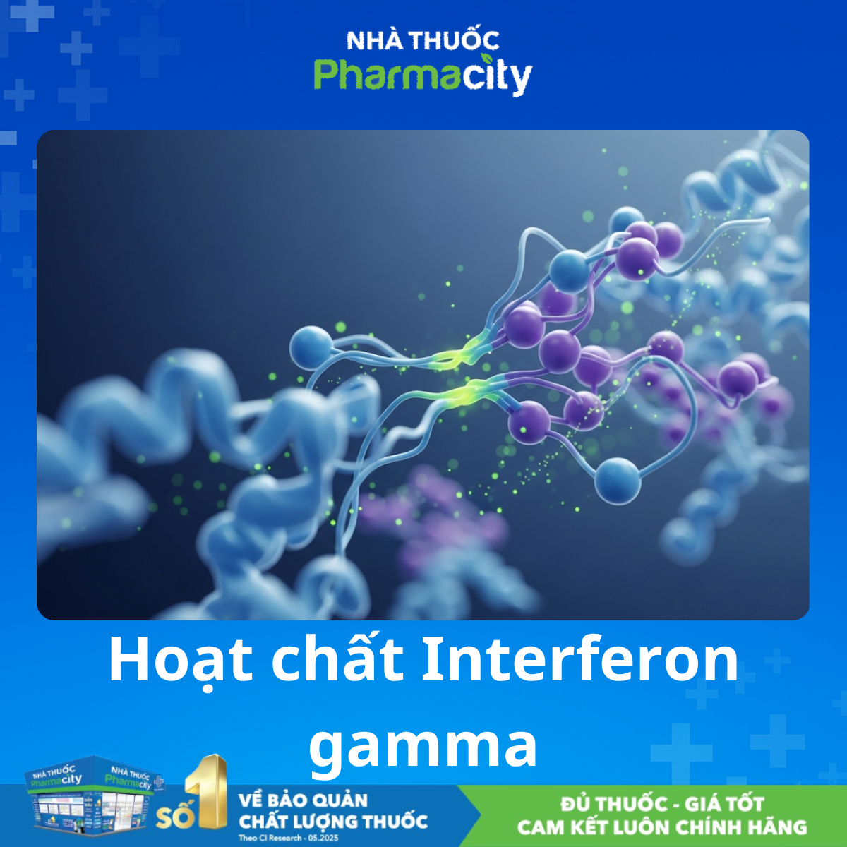 Enterfiron Hoạt chất Interferon gamma: Vai trò quan trọng trong miễn dịch & ứng ...
