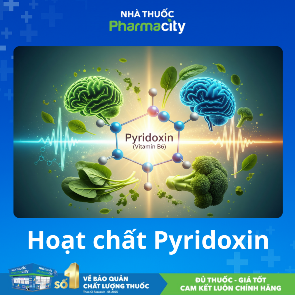 Pyrithioxin Hoạt chất Pyridoxin: Hoạt chất thiết yếu và hướng dẫn sử dụng đúng cách