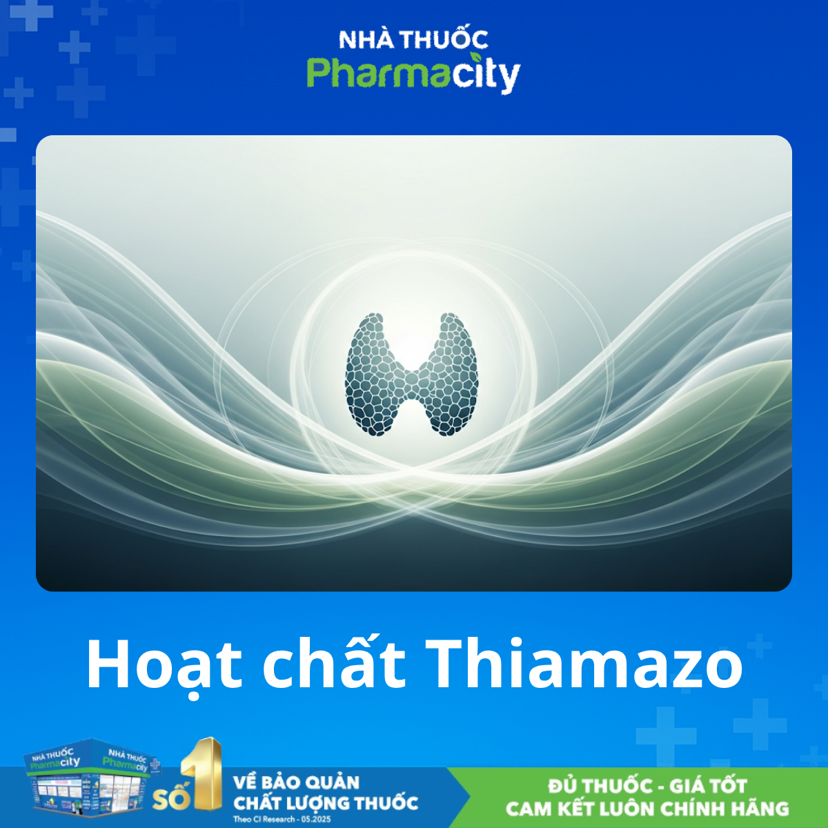 Nhân viên y tế hướng dẫn cách sử dụng thuốc Thiamazole hiệu quả theo từng giai đoạn bệnh lý