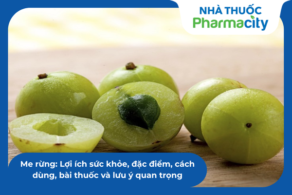 Me rừng: Lợi ích sức khỏe, đặc điểm, cách dùng, bài thuốc và lưu ý quan ...