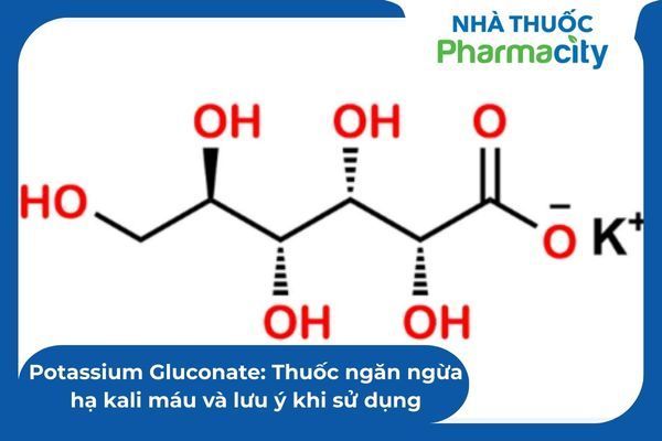Cân bằng điện giải Kali là yếu tố sống còn cho hoạt động của hệ thần kinh cơ