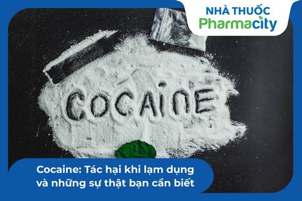 Cocaine gây ra các cơn co thắt mạch máu não dữ dội, làm chặn đứng dòng máu nuôi nhu mô não 