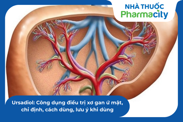  Hoạt chất Ursodiol dùng trong điều trị bệnh lý gan mật 
