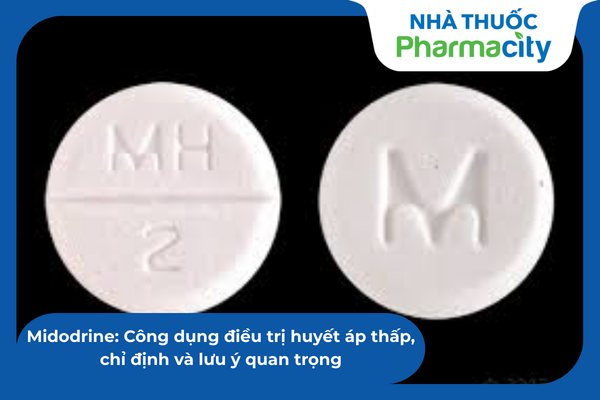 Midodrine: Công dụng điều trị huyết áp thấp, chỉ định và lưu ý quan trọng