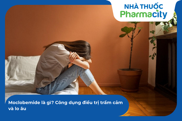 Minh hoạ về hoạt chất trong thuốc trị rối loạn lo âu