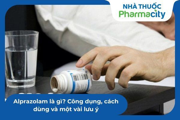 Cơ chế chuyển hóa Alprazolam qua gan và enzyme CYP3A4