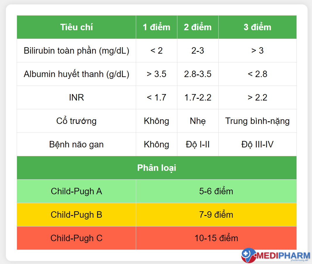 Xơ gan ở các cấp độ làm thay đổi cấu trúc nhu mô và suy giảm chức năng gan