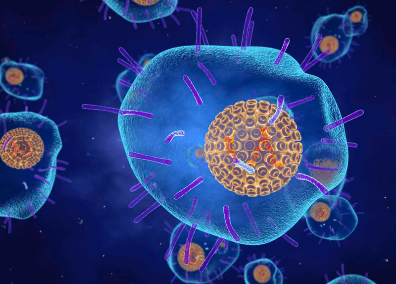 Virus xâm nhập zona thần kinh 