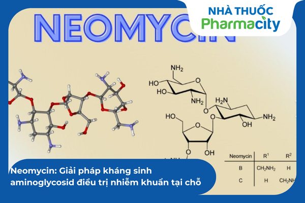 Neomycin: Giải pháp kháng sinh aminoglycosid điều trị nhiễm khuẩn tại chỗ