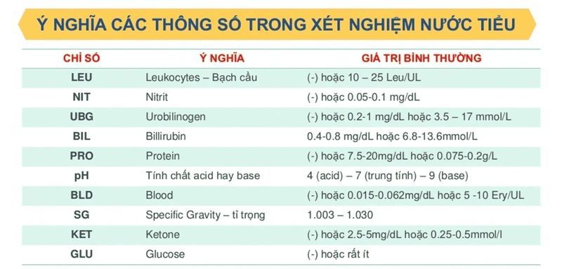 KẾT QUẢ XÉT NGHIỆM NƯỚC TIỂU 10 THÔNG SỐ CUNG CẤP CÁI NHÌN TOÀN DIỆN VỀ BỆNH LÝ