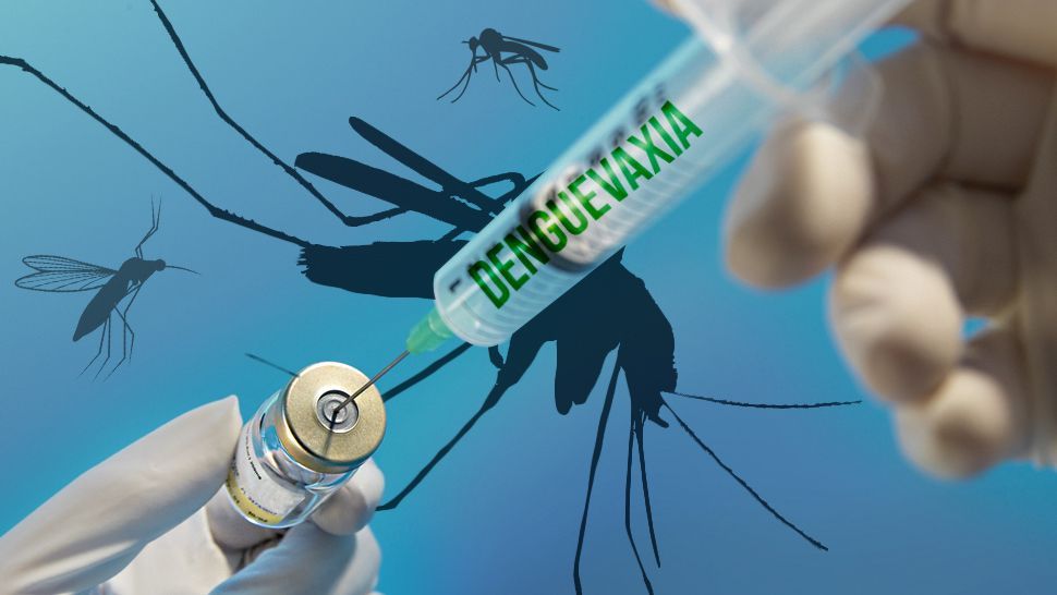 Sốt cao đột ngột và đau đầu là những dấu hiệu phổ biến của sốt xuất huyết