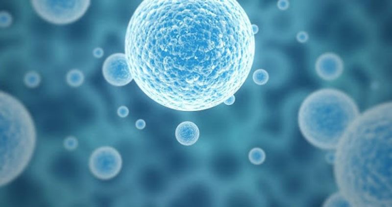 Chăm sóc toàn diện tại nhà giúp nâng cao hiệu quả khi điều trị parkinson bằng tế bào gốc