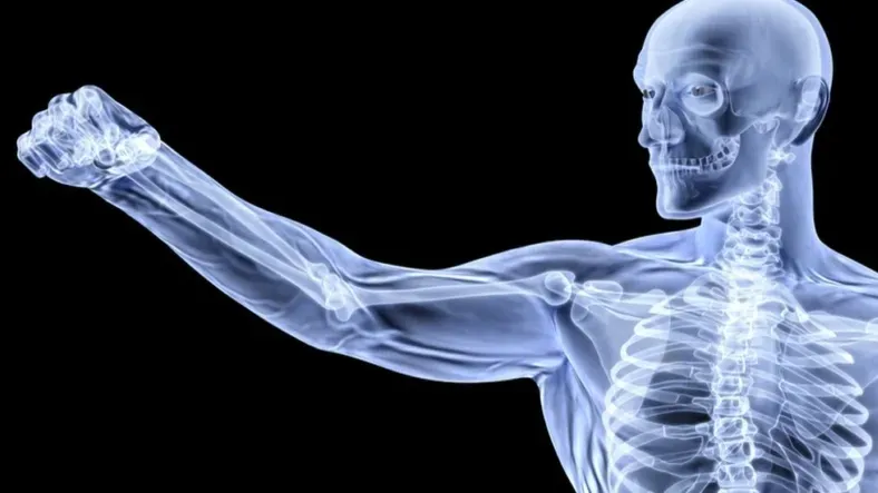 Glucosamine đóng vai trò quan trọng trong việc duy trì cấu trúc xương khớp và sự dẻo dai của các mô liên kết trong cơ thể. 