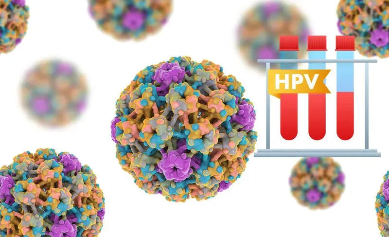 Hình minh họa phân loại chủng HPV nguy cơ cao trước khi gây ra u ác tính