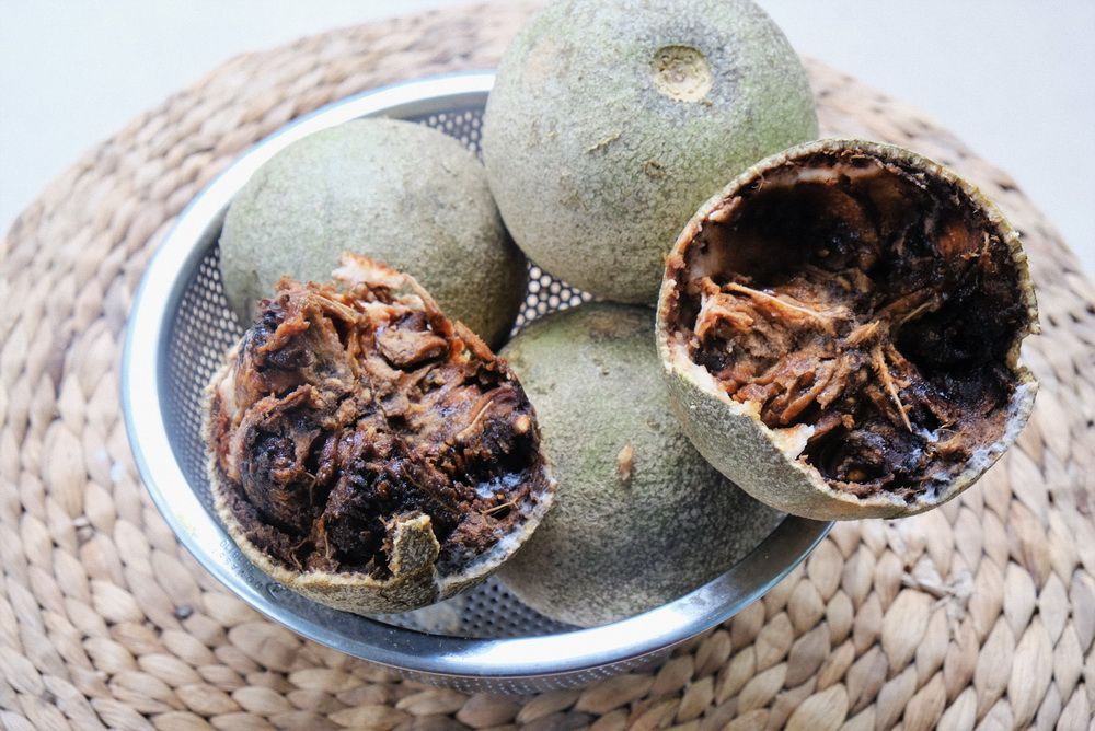 Đặc điểm hình thái quả quách với lớp vỏ cứng xù xì và tán lá xanh mướt (Nguồn: Sưu tầm)