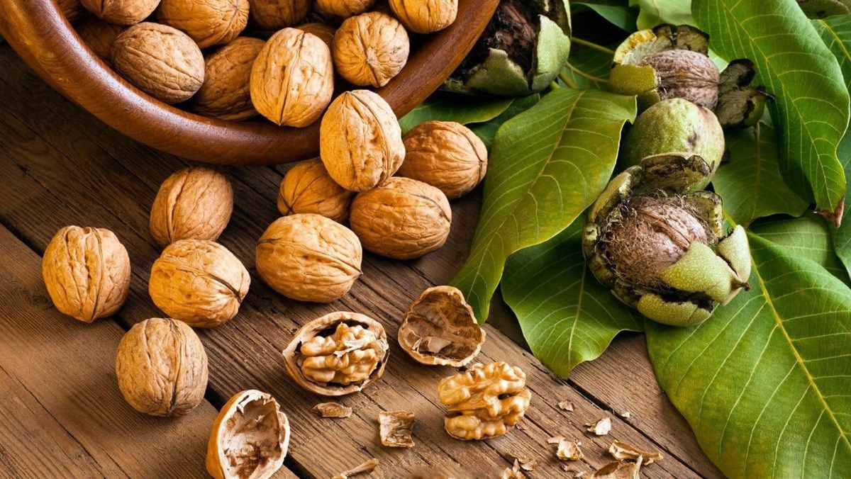 Dầu được chiết xuất từ sa chi