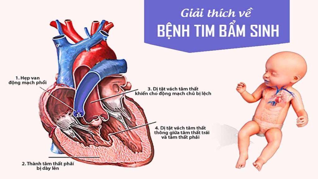 Các xét nghiệm sàng lọc hiện đại như NIPT giúp phát hiện sớm các bất thường di truyền với độ chính xác cao