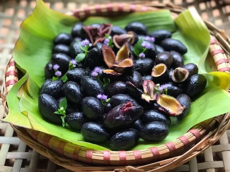 Hình minh họa khạc ra đờm đen có thể liên quan đến các bệnh lý đường hô hấp hoặc tác động từ môi trường