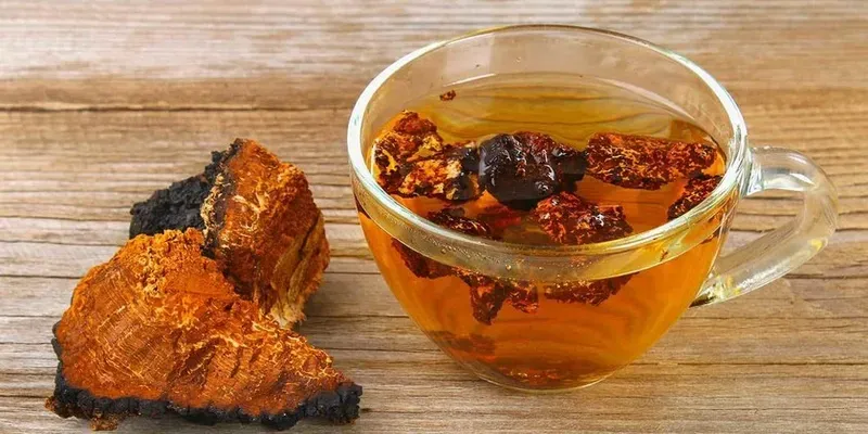 Trà nấm chaga là thức uống bổ dưỡng giúp tăng đề kháng và chống lão hóa