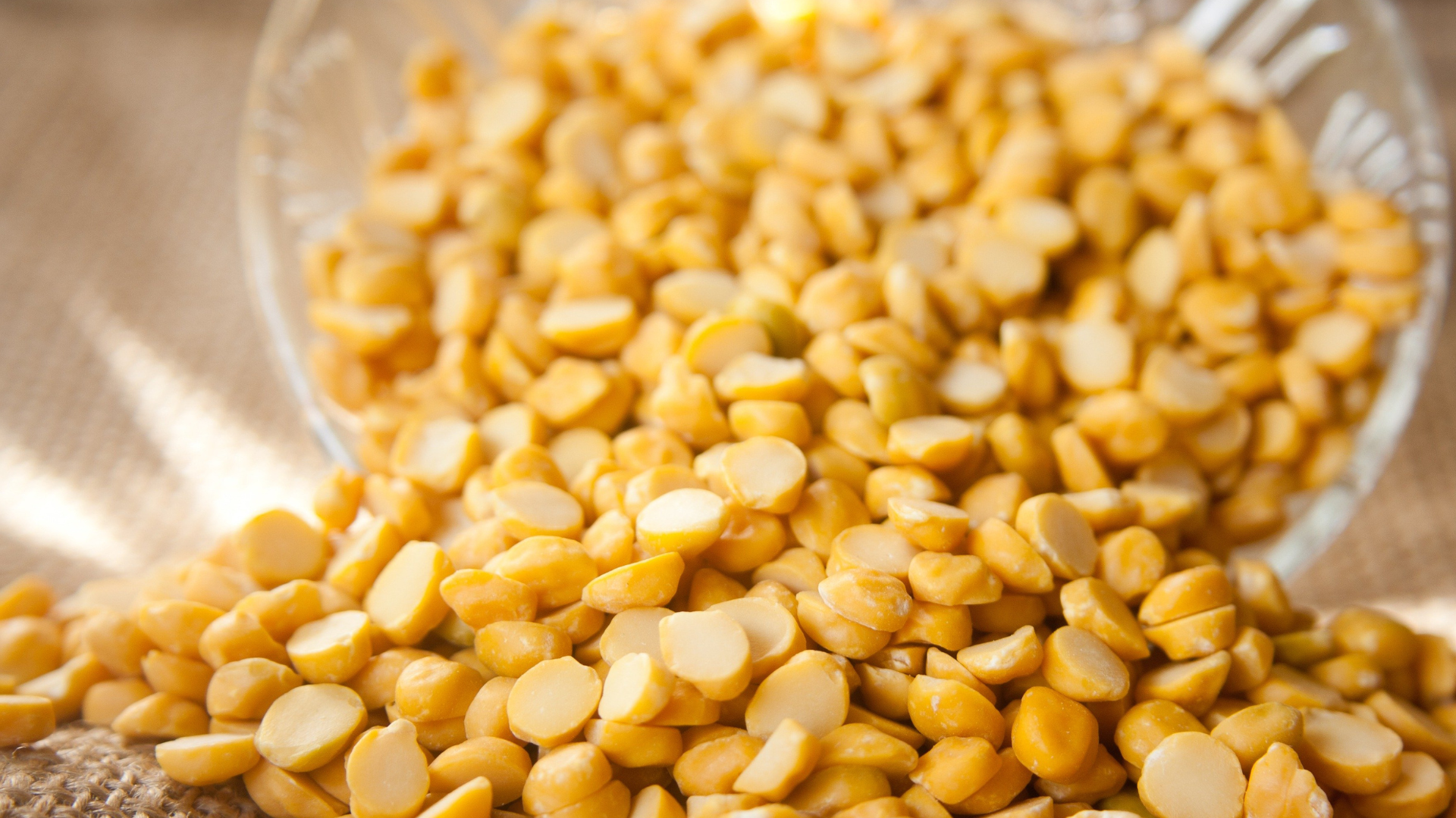 Hạt lạc chứa hàm lượng protein và chất béo không bão hòa rất phong phú .