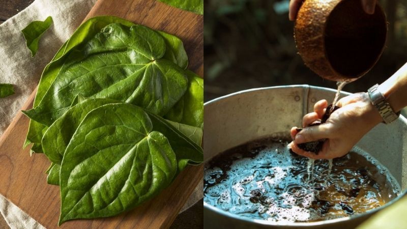 Tác dụng của lá trầu không trong việc chữa trị viêm phụ khoa
