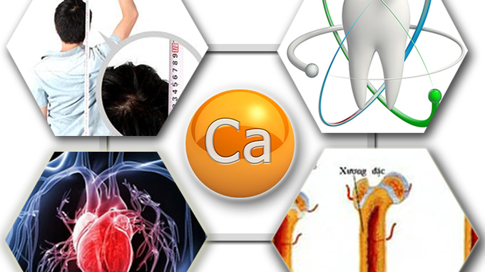 Canxi và Magie B6 đều là những dưỡng chất thiết yếu cho hệ xương và thần kinh 