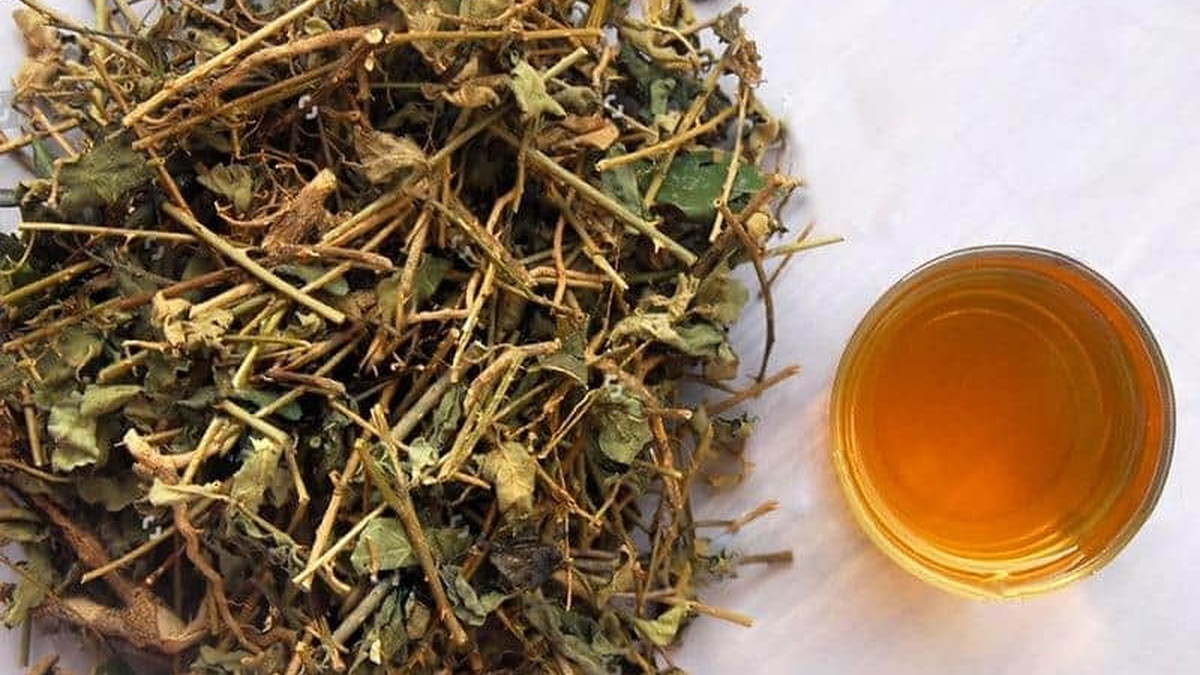 Bổ sung các loại rau xanh là cách hạ men gan hiệu quả tại nhà