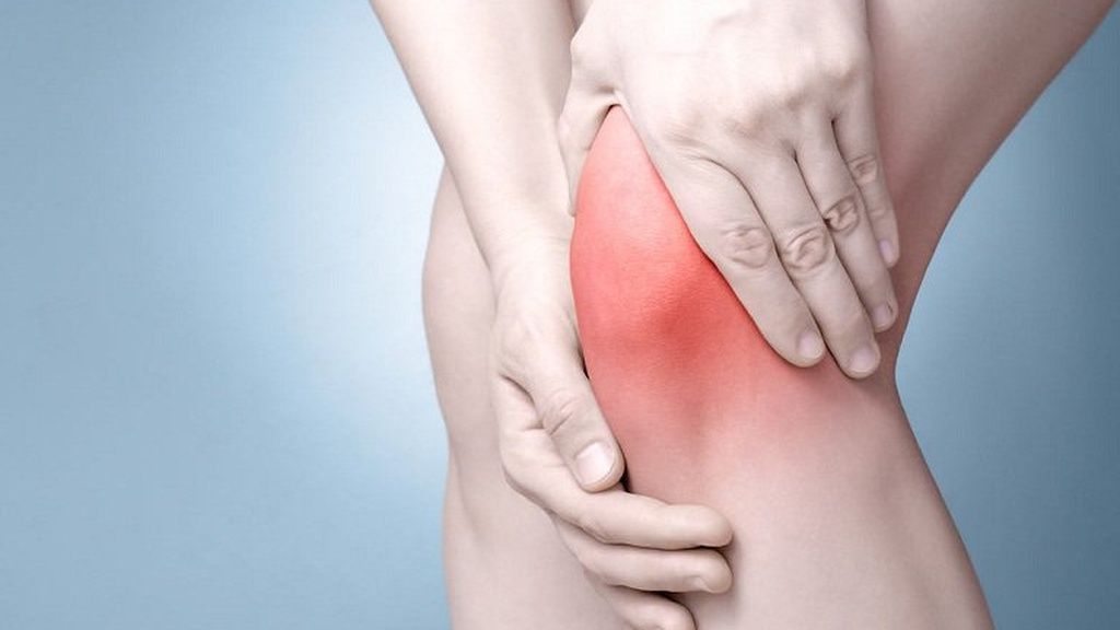 Hình ảnh minh họa khớp gối và vai trò của glucosamine trong việc hỗ trợ vận động. 