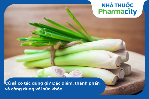 Củ sả có tác dụng gì? Đặc điểm, thành phần và công dụng với sức khỏe