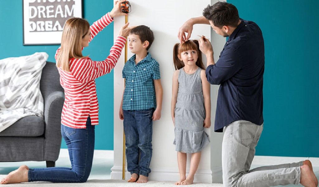 Chiều cao của một cá nhân chịu sự chi phối tổng hòa từ các yếu tố di truyền