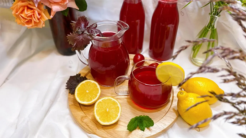 Lá tía tô uống giúp chữa viêm da cơ địa 