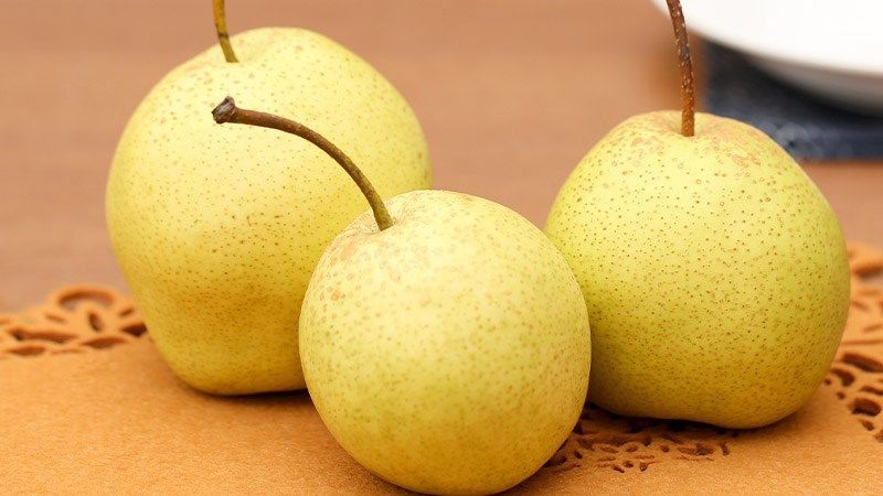 Đặc điểm tự nhiên của quả lê với hình dáng tròn trịa và vỏ màu vàng nhạt (Nguồn: Sưu tầm)