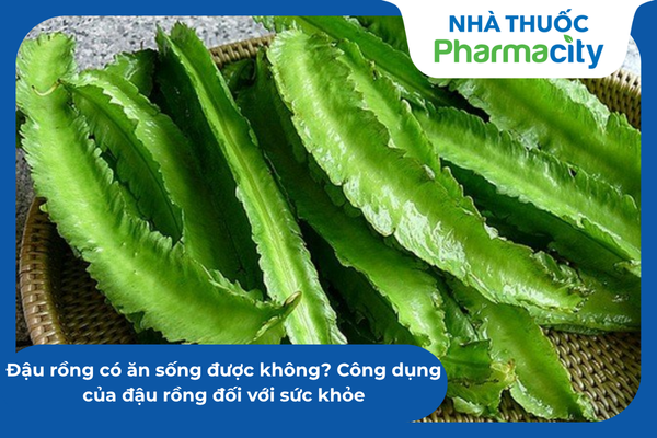 Sáp ong: Đặc điểm, thành phần, công dụng và cách dùng hiệu quả