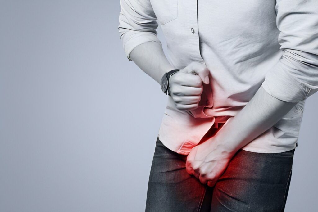 Hình minh họa cấu tạo tinh hoàn và bìu giúp hiểu rõ vị trí xuất hiện đau tinh hoàn bên trái