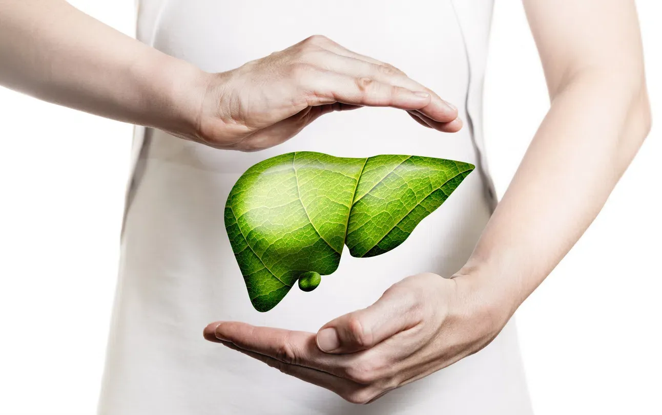 Cây chó đẻ có thể giảm các triệu chứng viêm gan