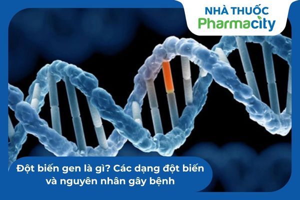 Đột biến gen là nguyên nhân cốt lõi gây ra sự phát triển bất thường của tế bào trong HDGC 