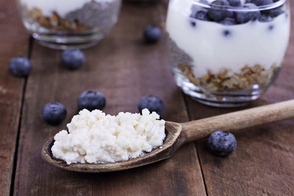 Tìm hiểu về nấm kefir: bí quyết từ tây tạng giúp cải thiện sức khỏe ...