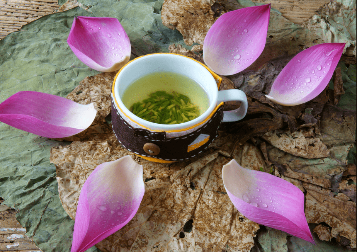 Việc sao vàng và dùng liều lượng phù hợp giúp đảm bảo những điều cần lưu ý khi sử dụng tâm sen an toàn (Nguồn: Sưu tầm)