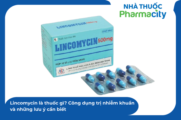 Lin Medication Lincomycin là thuốc gì? Công dụng trị nhiễm khuẩn và những lưu ý cần biết