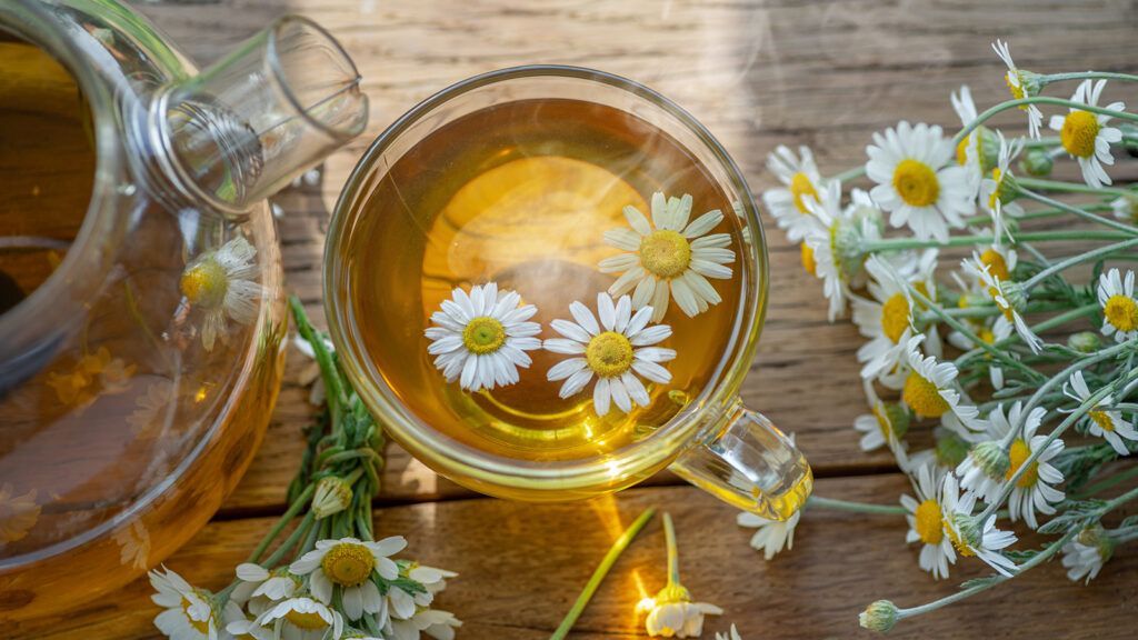Chữa viêm gan B bằng đông y cần sự kiên trì và tuân thủ đúng liều lượng
