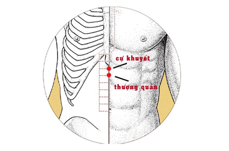 Xác định đúng vị trí các huyệt đạo là yếu tố tiên quyết để đạt hiệu quả điều trị 