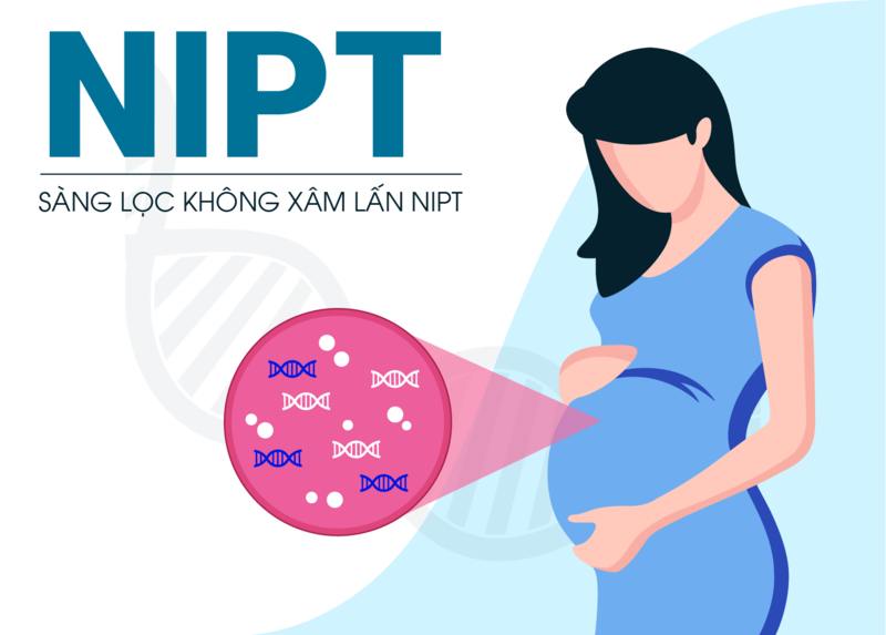 Thông tin cơ bản về xét nghiệm NIPT cho thấy đây là kỹ thuật sàng lọc trước sinh an toàn và có độ chính xác vượt trội