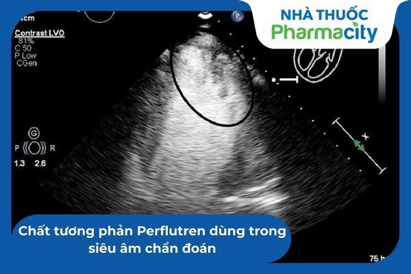 Chất tương phản Perflutren dùng trong siêu âm chẩn đoán