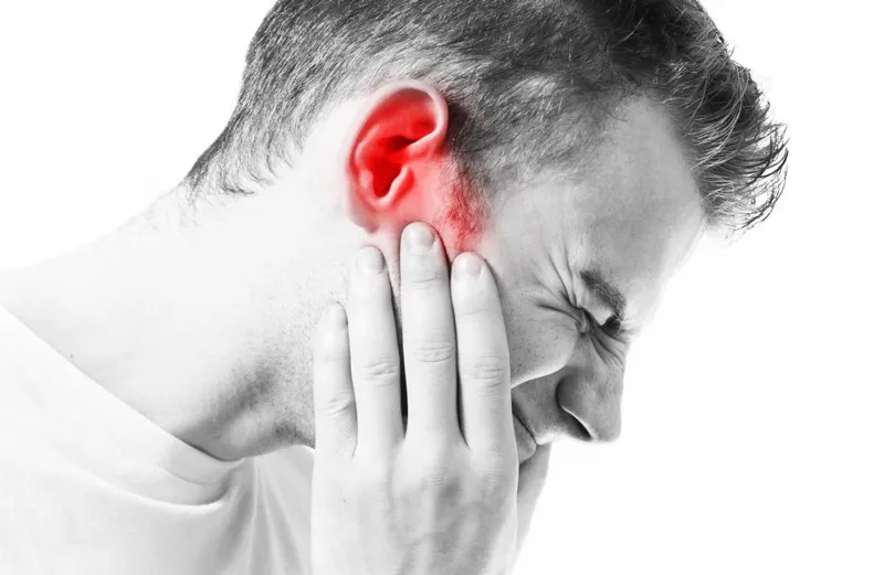 Sức khỏe hệ mạch máu ảnh hưởng trực tiếp đến khả năng cung cấp oxy cho tai trong 